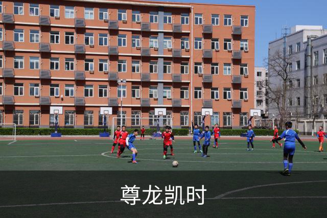 尊龙凯时公司简介
